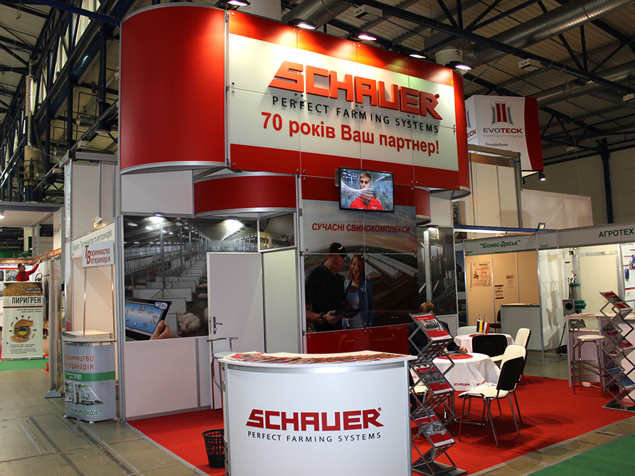 Schauer 2019