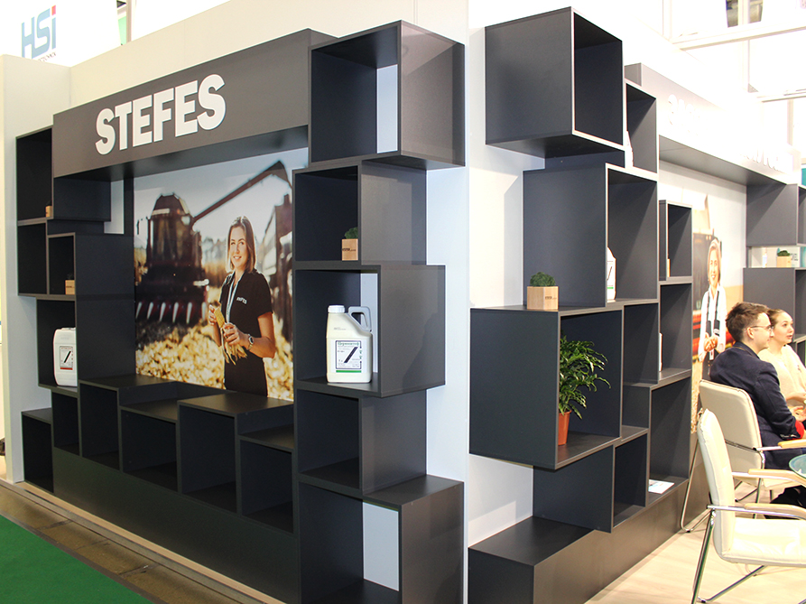STEFES 2019