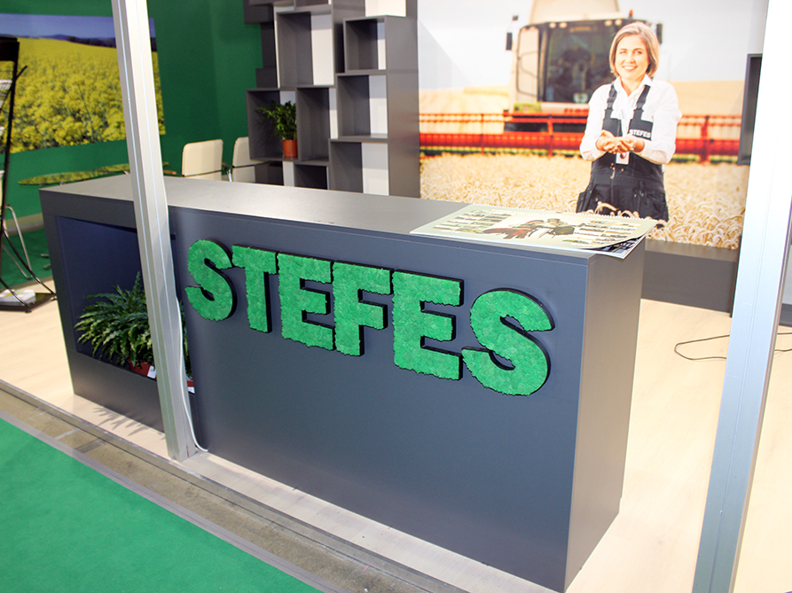 STEFES 2019